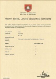 BEST PSLE TUITION SAGE NG PSLE WP EduCHAMPS