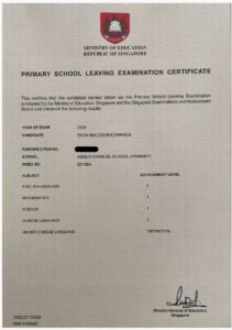 Best PSLE Tuition Centre in Singapore